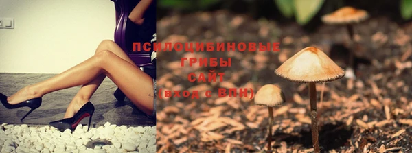 метадон Беломорск