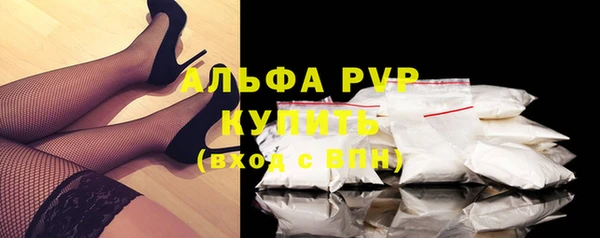 индика Белоозёрский