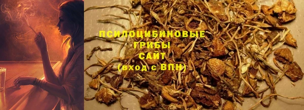 прущая мука Белокуриха
