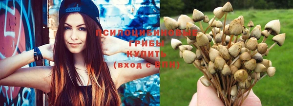 индика Белоозёрский