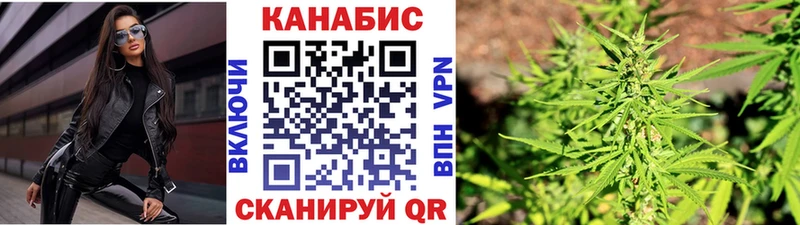 Бошки Шишки планчик  Кодинск 
